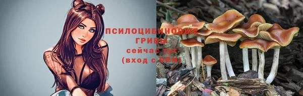 марихуана Корсаков